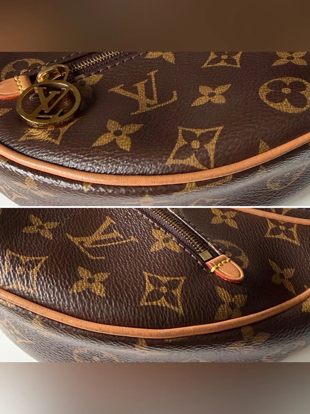 Louis Vuitton Loop Monogram Canvas Shoulder Crossbody Bag